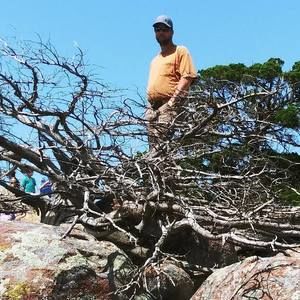 Meet your Posher, Tyler